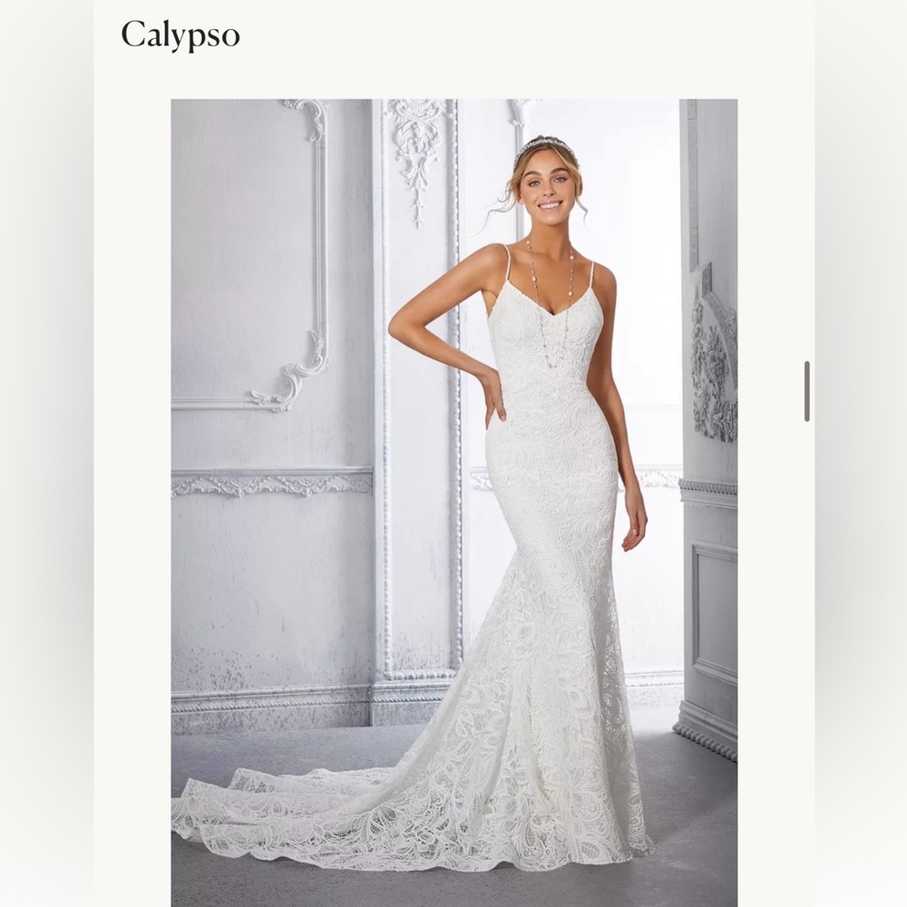 Calypso Wedding Dress from Morilee by Madeline Gardner. This dress is NWT.